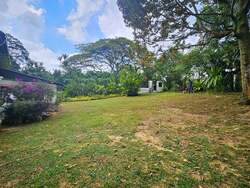Bin Tong Park (D10), Detached #545980491